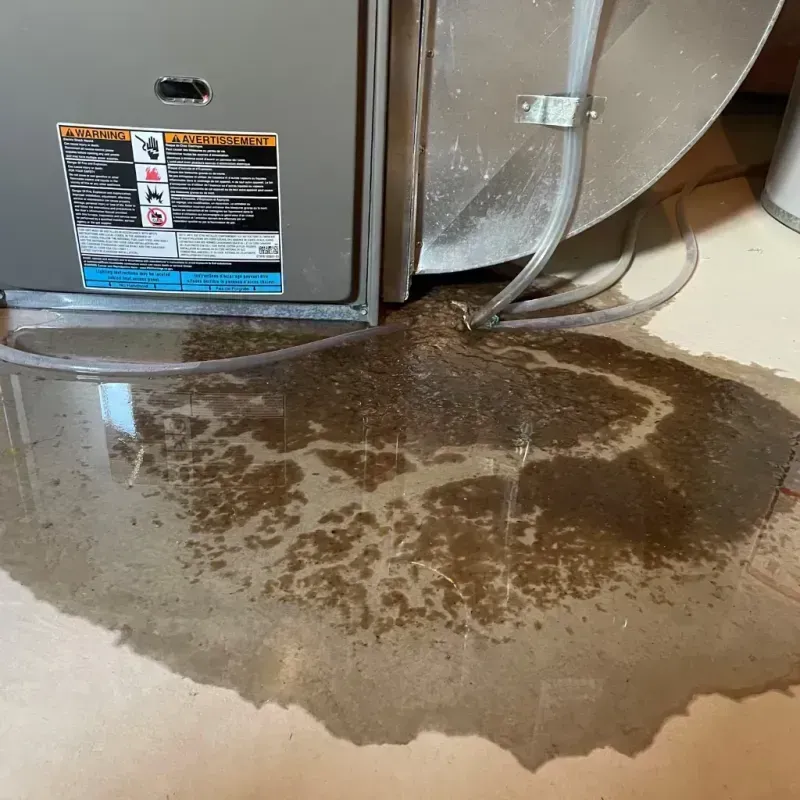 Appliance Leak Cleanup in Fleetwood, PA